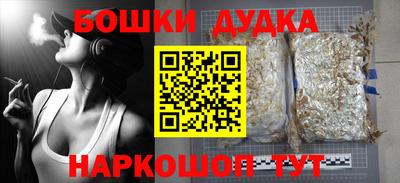 гидропоника Гусиноозёрск