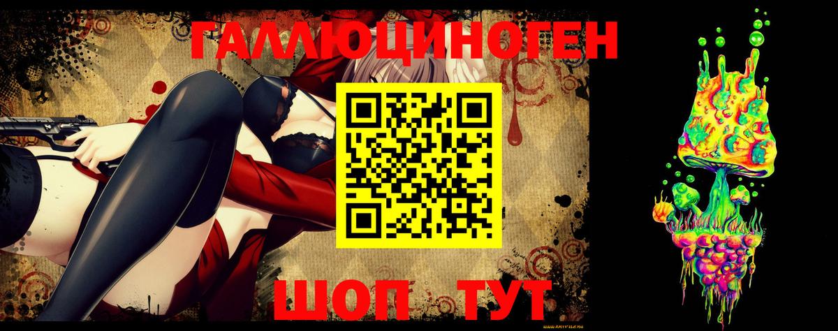 Галлюциногенные грибы Psilocybe Новый Уренгой